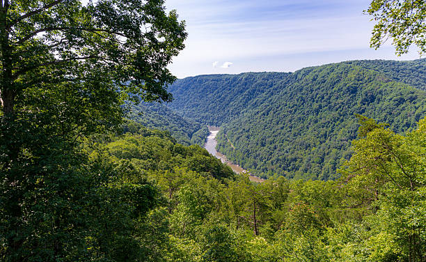 istock New River in New River Gorge National Park 2224168366
