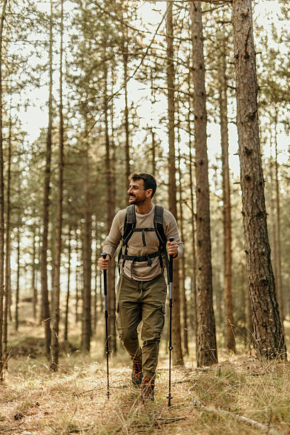 istock Male hiker is enjoying his walk in the forest 2224174953