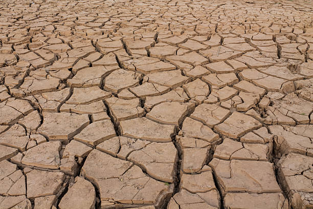 istock Dry earth texture with cracked surface and rough patterns under sunlight, showing arid soil, drought conditions, natural background 2224178009