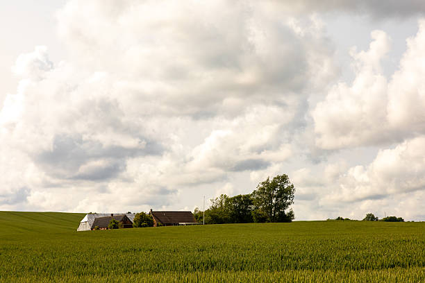 istock Nykobing Mors, Denmark 2224179659