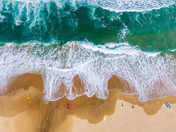 istock Surfers on the beach and waves, Surfers enjoying surfing 2224185969