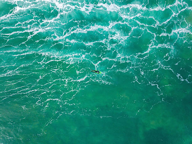 istock Surfers on the beach and waves, Surfers enjoying surfing 2224185986