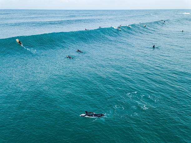 istock Surfers on the beach and waves, Surfers enjoying surfing 2224185997