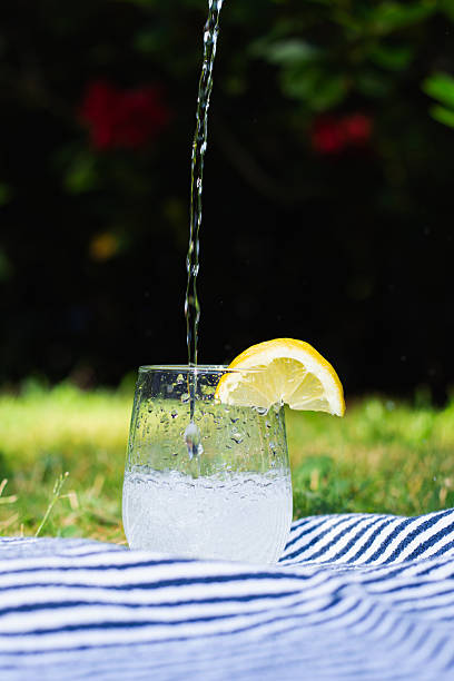 slice one citrus fruit with sparkling water in a glass with white background