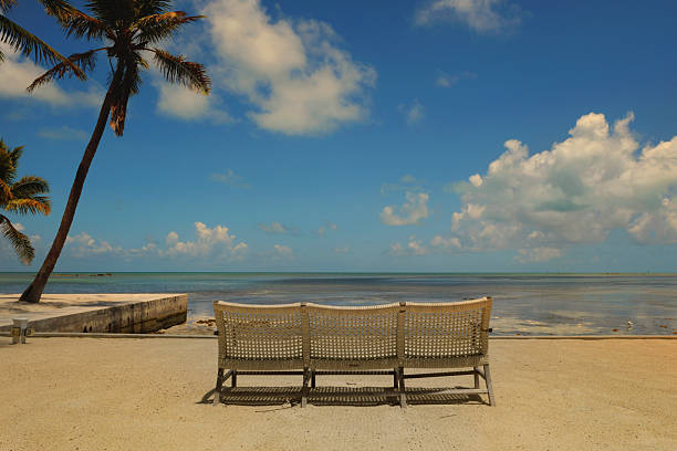 istock Blue water skies palm trees Florida Keys resort 2224187375