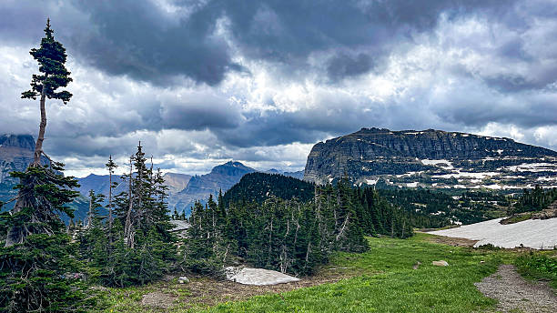 Scenery from the going to the sun road in Glacier national park Montana