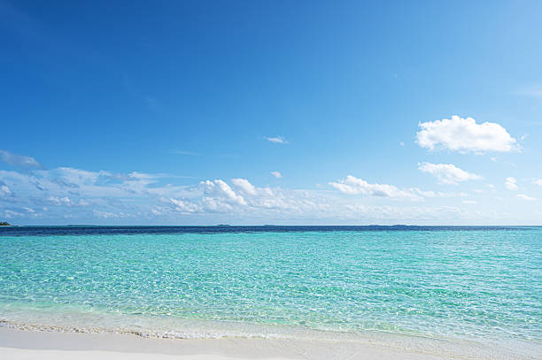 istock Tropical beach and beautiful turquoise sea with sunny blue sky background 2224191903