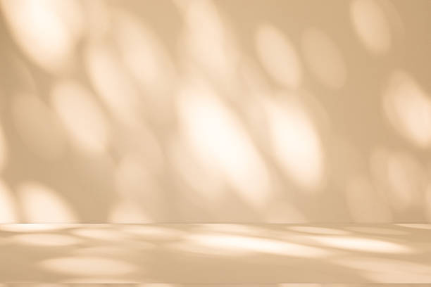 istock Studio style background wall decoration presentation uses white and beige tones. with shadows cast from a nearby window, concept creating a decorative 2224193665