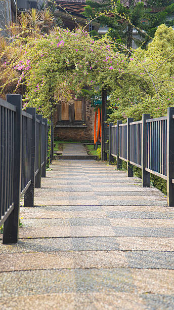 istock A long, inviting stone pathway with dark railings leads towards a house, framed by lush green trees and pink bougainvillea 2224201629