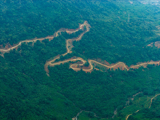 This aerial photograph captures a sinuous dirt road meandering through a dense forest, showcasing the contrast between man-made paths and untouched nature. The visual style is documentary, emphasizing the raw beauty and complexity of the landscape. It has high potential for use in environmental documentaries, travel magazines, or educational materials about forestry and ecology.