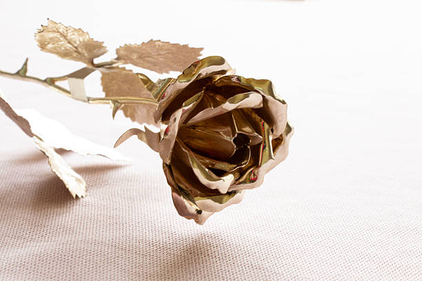 A golden rose lies on a light fabric in the light close-up