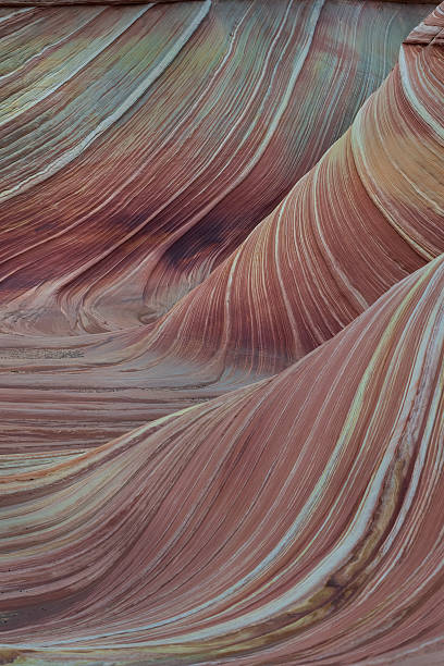 istock The Wave in Vermilion Cliffs, USA. 2224203190