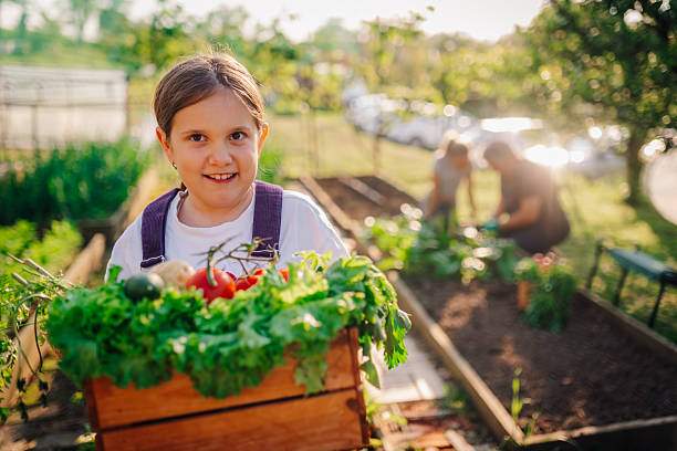 istock Young girl carrying freshly picked vegetables in orchard 2224204419