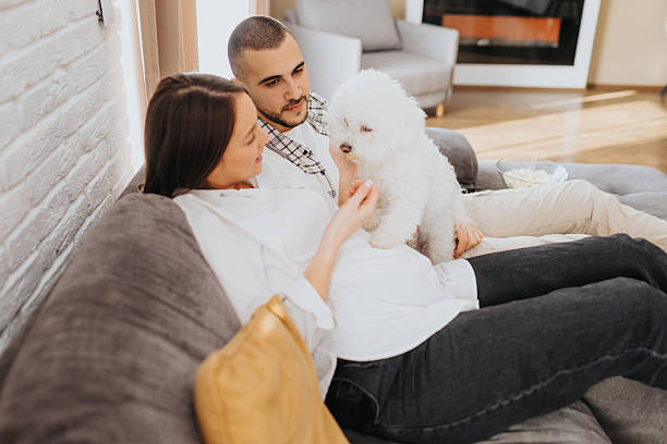 istock Happy couple playing with dog while relaxing on sofa at home 2224204804