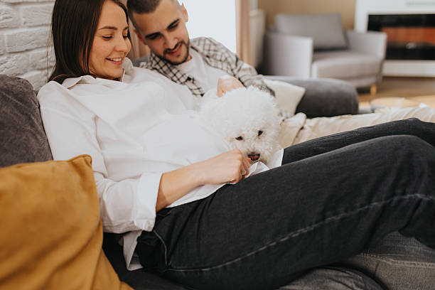 istock Happy couple playing with dog while relaxing on sofa at home 2224205045