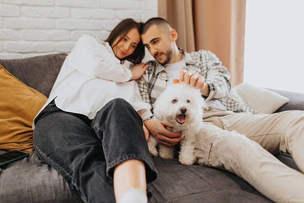istock Happy couple playing with dog while relaxing on sofa at home 2224205055