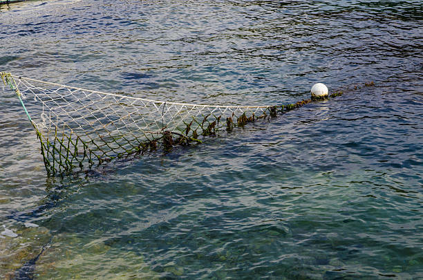 Net Barrier Naturally Collects Ocean Waste for traping plastic bags, bottles, and other waste