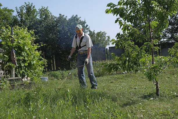 istock Mowing grass on the site with a bezno trimmer. 2224209414