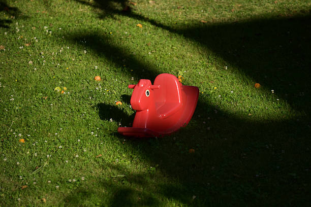 Rocking horses on grass
