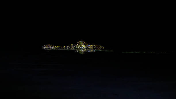 istock Crocodile Caught in a Spotlight at Night 2224217491