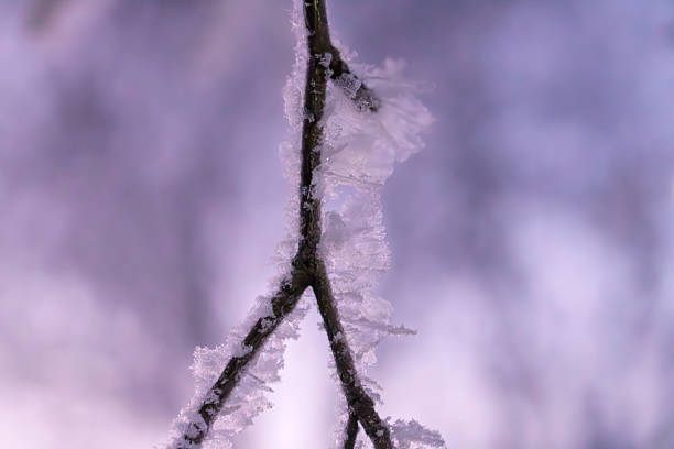 Winter in the small Estonian town called Narva