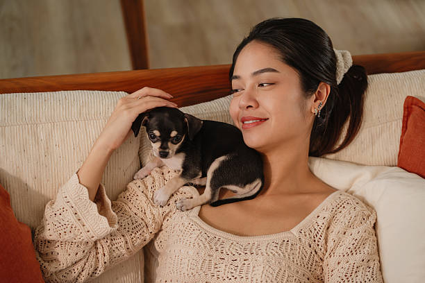 istock Woman relaxing on sofa with her chihuahua 2224218508