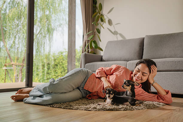 istock Woman cuddling her chihuahuas at home 2224218678
