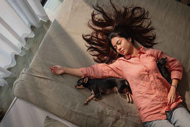 A mid-adult woman naps in bed with her two Chihuahuas.