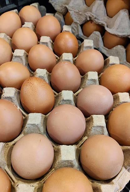 istock Carton of Fresh Brown Eggs 2224221061