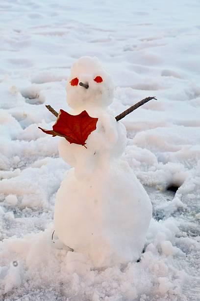 istock Snowman with Twig Arms and Red Leaf 2224222293