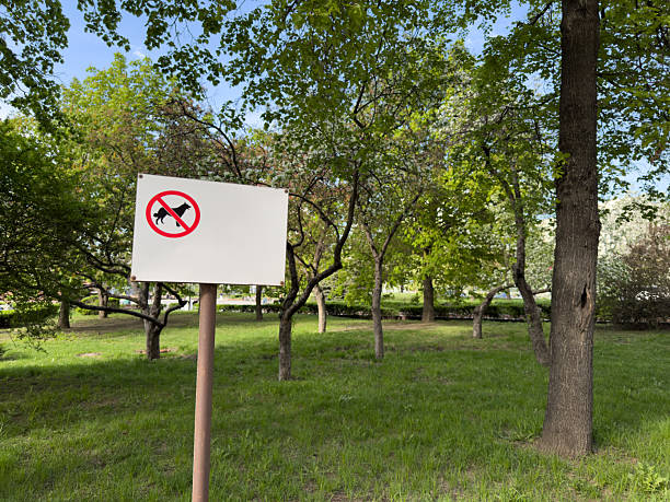 Sign with no dogs allowed symbol on white background mounted on post in green park area with trees and grass, representing public restriction and pet free zone in natural urban environment