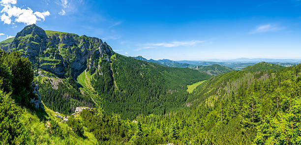 istock Wide Panoramic View of Lush Green Mountain Slopes and Deep Valleys with Rocky Cliffs in Zakopane, Poland, Scenic Perspective 2224223209