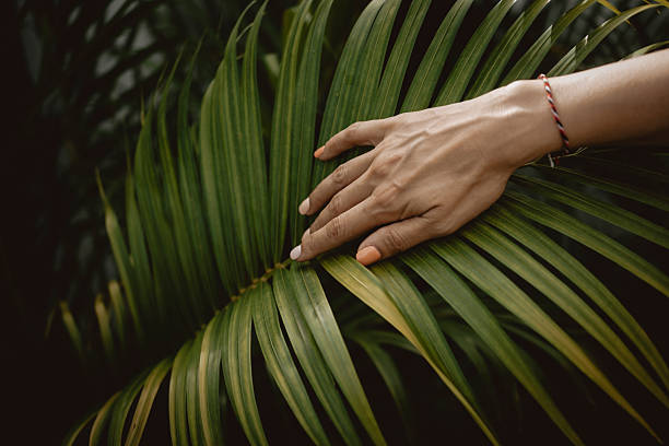Woman hand touches green palm leaf lit by the sun. Concept tenderness, interaction, unity with nature.