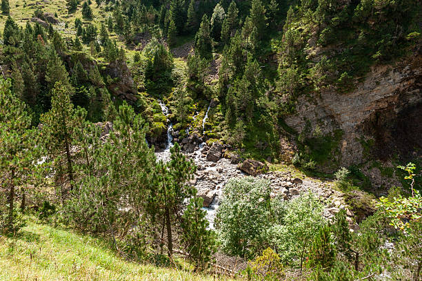 istock At the gave de Cavarnie 2224223588