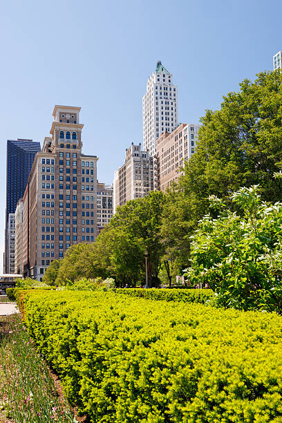 istock Vibrant sunny view of Chicago downtown skyline under a blue sky 2224225144