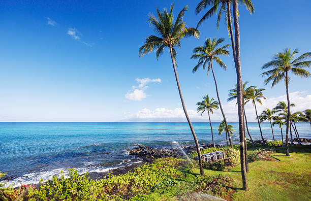 Beautiful Maui landscape in Hawaii featuring a sandy beach, turquoise sea, and lush greenery