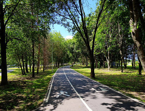 istock Pedestrian and bicycle lanes in the park 2224226248
