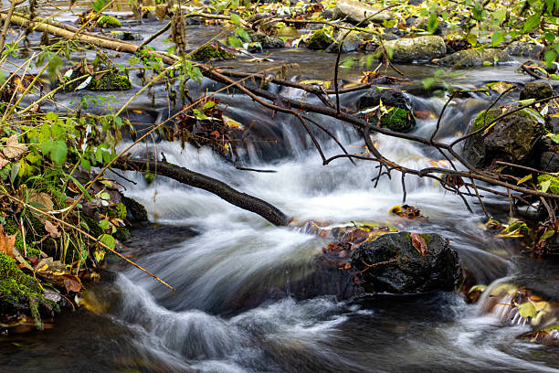 istock A water cascade in autumn creek with fallen leaves. Fallen branches with colored leaves in a river. 2224227859
