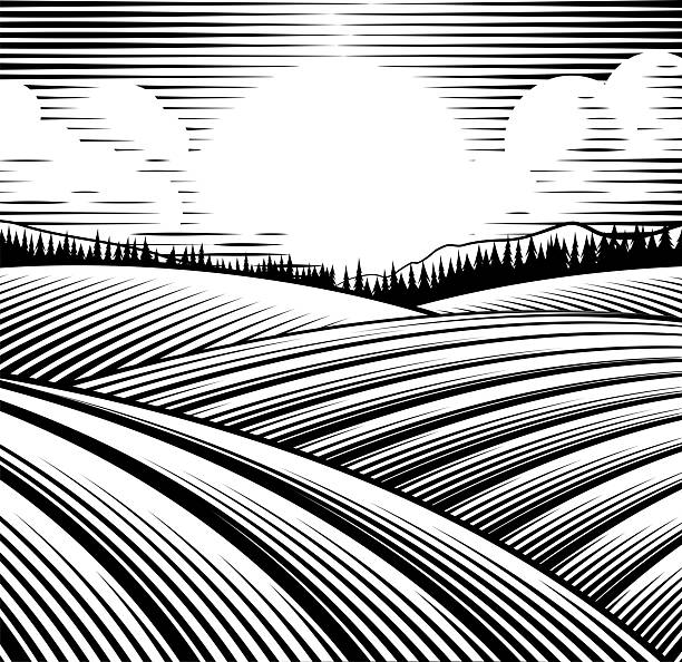 A rolling hills rural landscape drawing in a vintage woodcut style