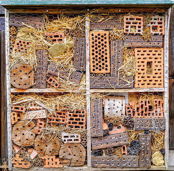 A variety of natural and man-made materials are arranged neatly in an insect hotel, providing shelter for beneficial insects in a green garden environment.
