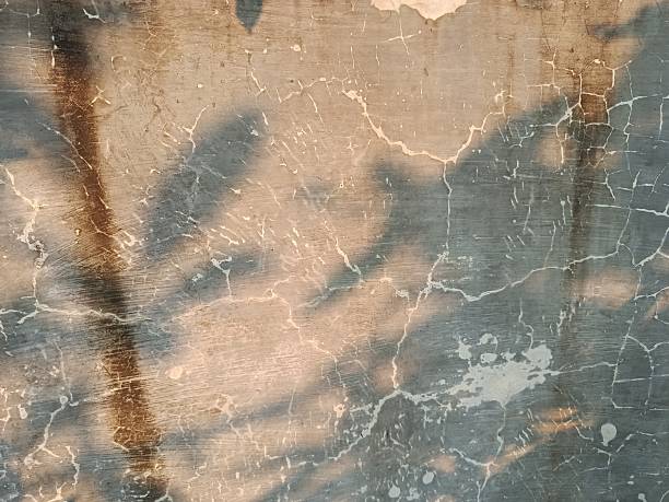 istock An abstract close-up of a weathered surface, possibly wood or concrete, displaying a network of fine cracks across its dark, distressed texture. Patches of lighter, warm-toned color, appearing almost like sepia or faded orange 2224232119
