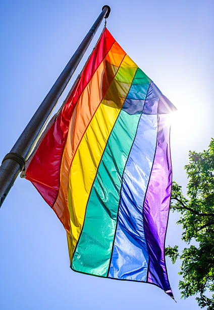 istock Colorful pride flags displayed among trees during a vibrant celebration of diversity and inclusion at a public event in summer 2224232380