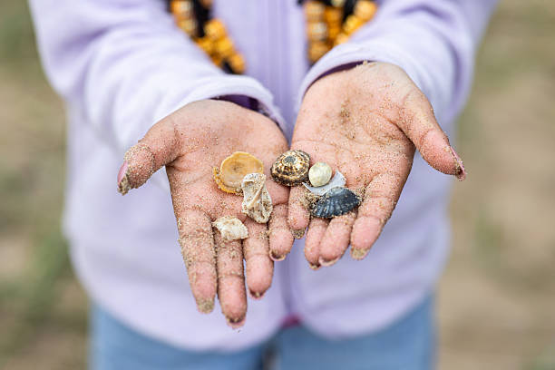 A close-up of a child's sandy hands holding a small collection of seashells and marine treasures. The child is wearing a light purple jacket and blue jeans. In the background, She is on a beach in Alnmouth in Nothumberland.