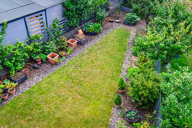 istock Backyard area with trees, bushes, flowerpots, small path and lawn, areal view 2224234490