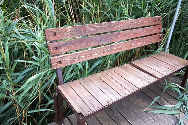 Wooden bench in the countryside in summer