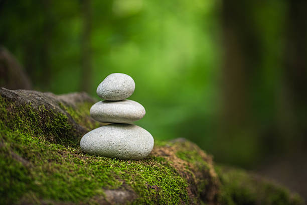 istock Stacked Zen Stones on Mossy Rock in Tranquil Forest Setting 2224236584