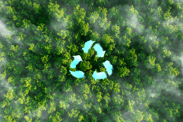 istock Recycling is vital process that helps protect our environment reducing waste, conserving natural resources, and lowering pollution. 2224247927