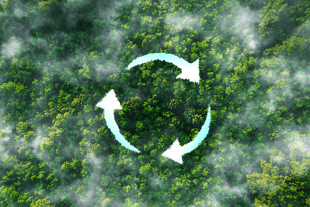 tree and recycling