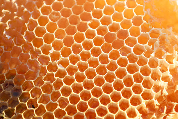 istock Hexagonal cells of honeycombs, filled with glistening honey, form a perfect natural pattern. The transparent golden honey reflects light, creating a visually appealing and textured background. 2224255766