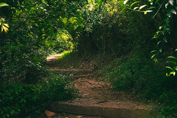 A dirt path winding through a lush green forest in Nandi Hills, Karnataka, India.